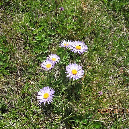 بيت ضيافة Waldhauser 3*