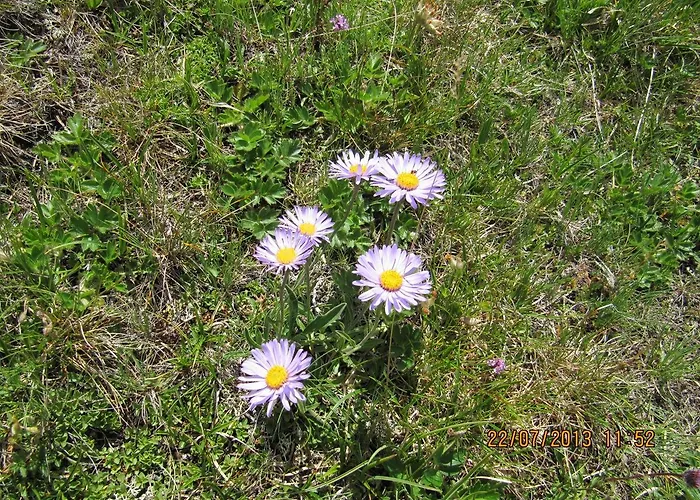 Konukevi Waldhauser 3*